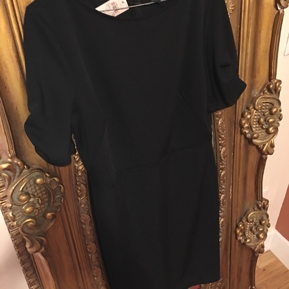 Ann Taylor Dress